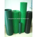 PVC Welded Wire Mesh (HPZS5004)